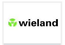 德國WIELAND繼電器