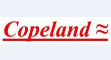 美國COPELAND閥門